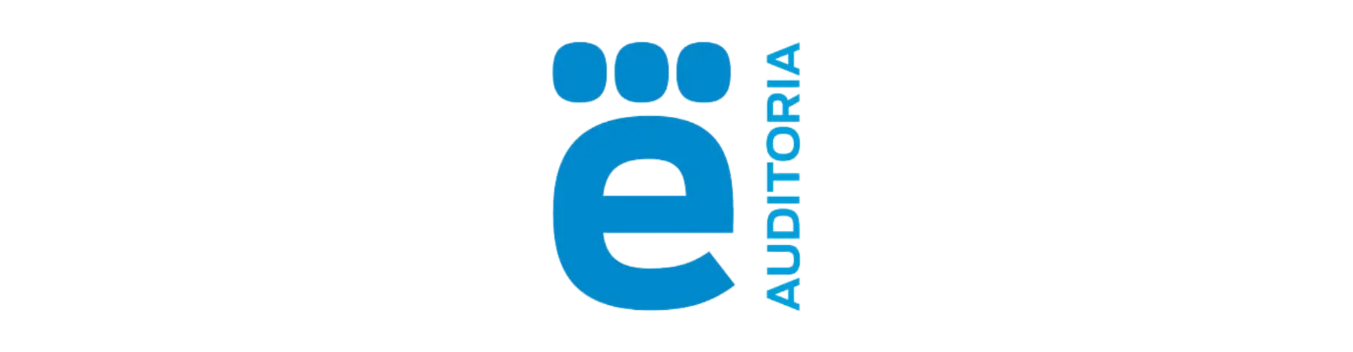 E-Auditoria